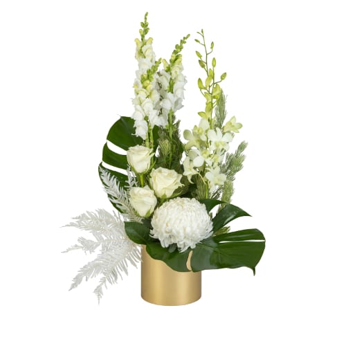 Opulent Orchids (Standard)