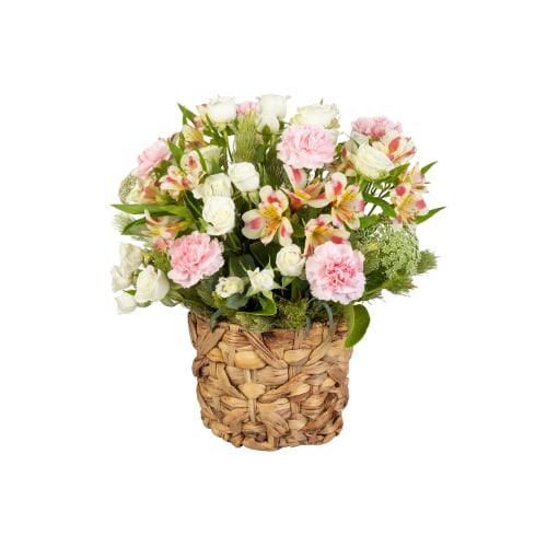 Delicate Carnations (Standard)