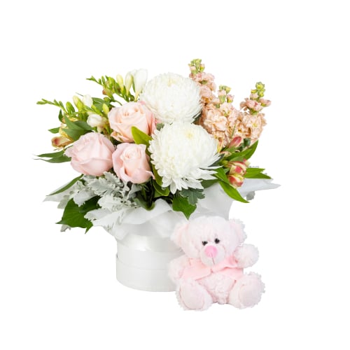 Newborn Baby Girl (Standard)