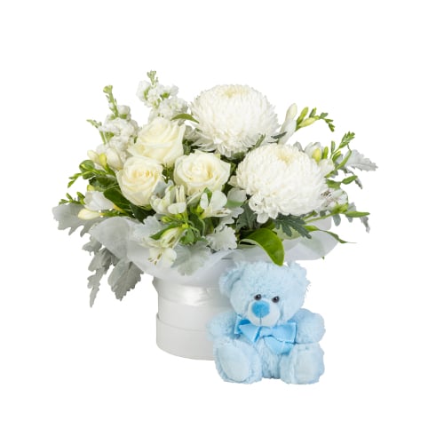 Newborn Baby Boy (Standard)