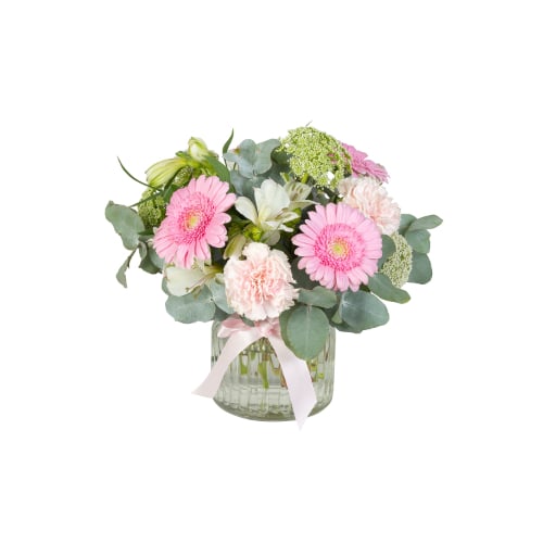 Classic Pink (Standard)