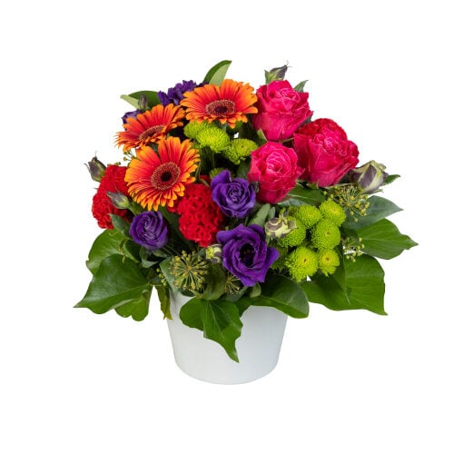 Viva Flowers (Standard)