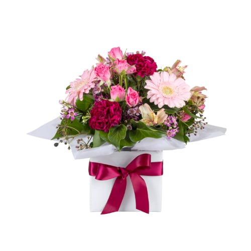 Sweet Pink Delight