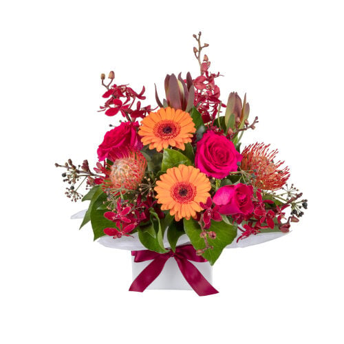 Fiesta Florals (Standard)