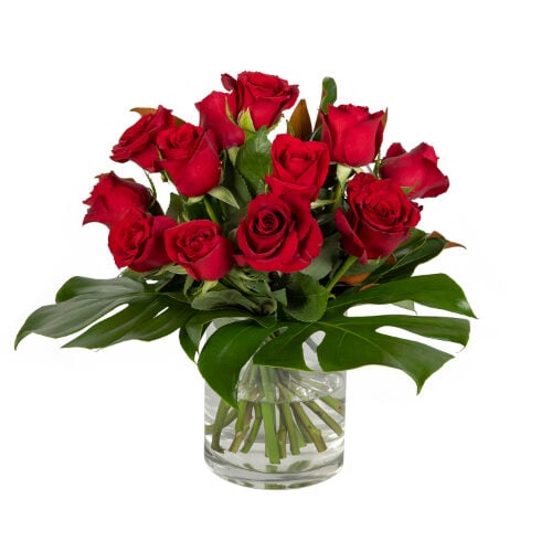 Eternal Roses
