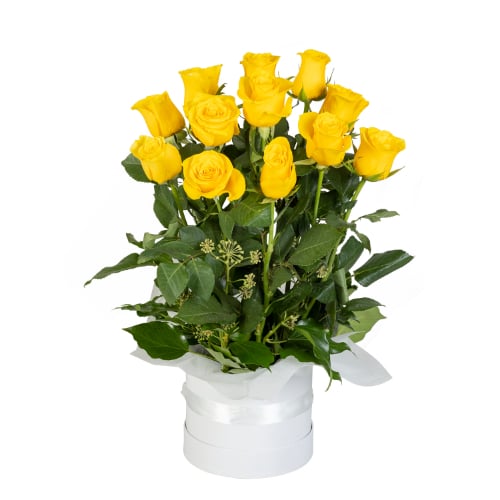 Rose Lover in Yellow