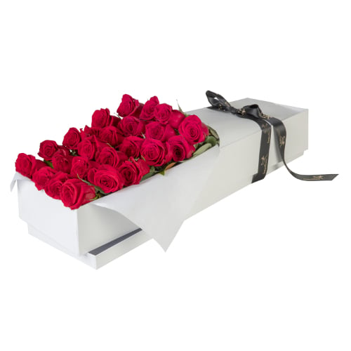 Everlasting Lovely Roses