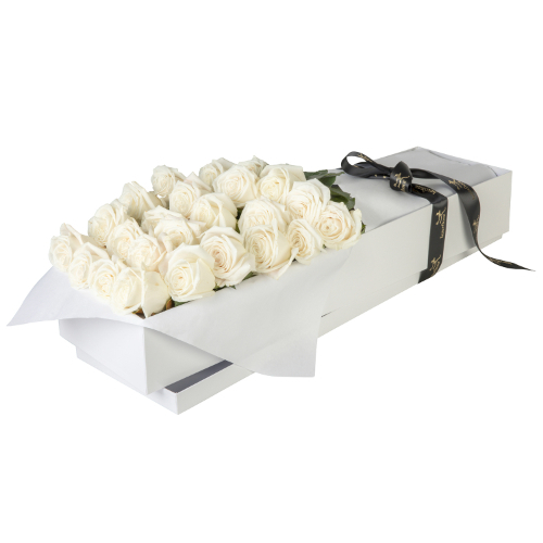 Everlasting Lovely Roses in White