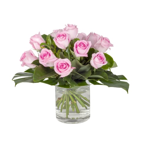Eternal Roses in Pink