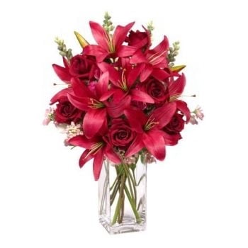 6 Red Roses and 3 Lilies (Standard)