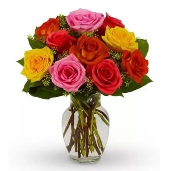 12 Mixed colour Roses (Standard)