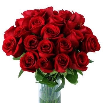 20 Sensational Red Roses (Standard)