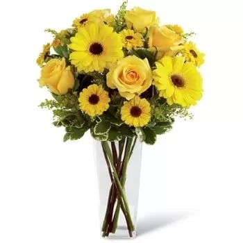 4 Roses and 15 Gerberas (Standard)
