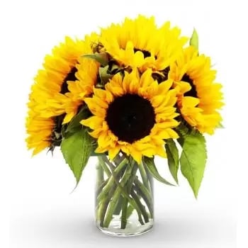 12 Sun Flowers (Premium)