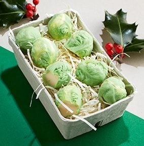 Chocolate Sprouts