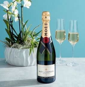 MoÃ«t & Chandon Brut Imperial Champagne