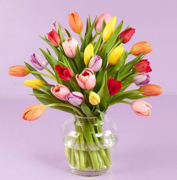 The Spring Tulips Bouquet