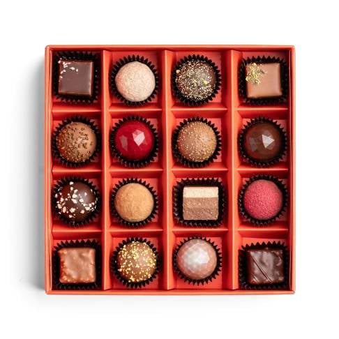 Discovery Box / 16 pcs