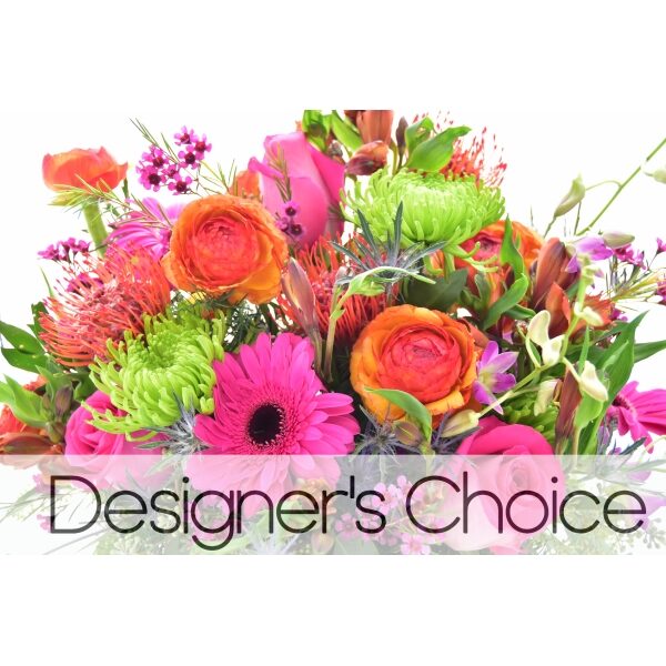 Designer's Choice(3)
