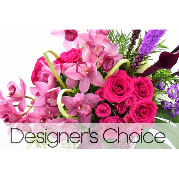 Designer's Choice(2)