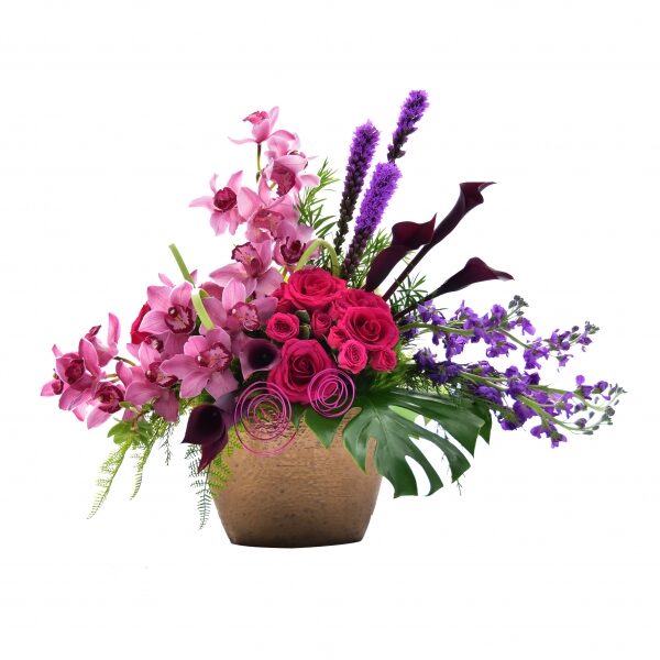 Orchid Profusion