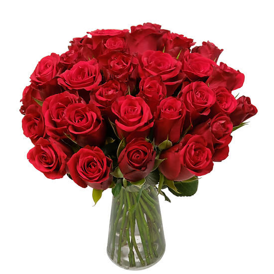 Red Velvet (30 Roses)