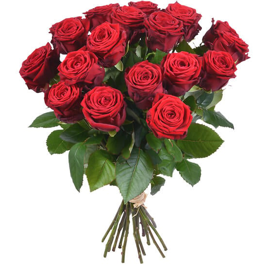 24 Red Roses