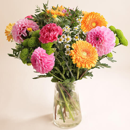 Colorful surprise