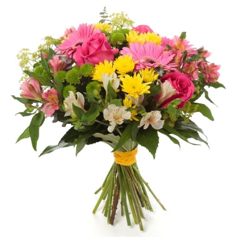 pink roses gerberas (Standard)