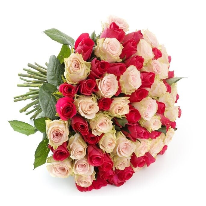 50 pink and red roses (Medium)