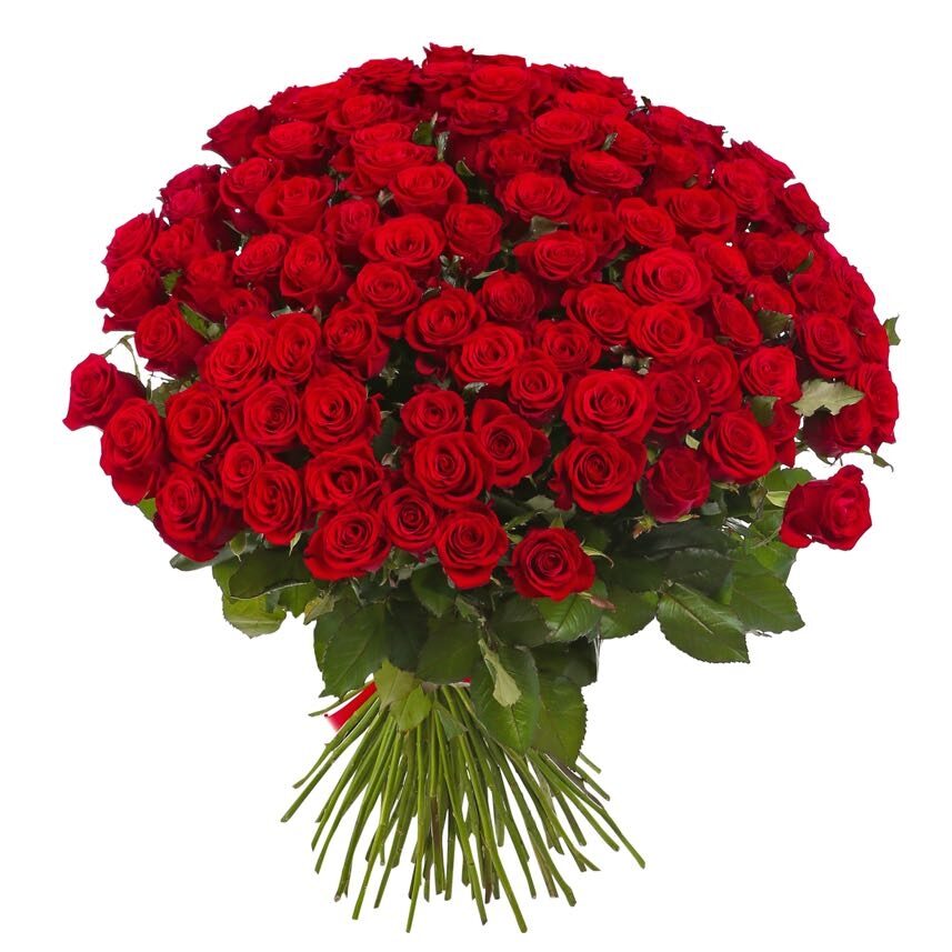 bunch of 100 red roses (Standard)
