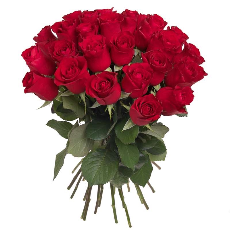 33 red roses (Standard)
