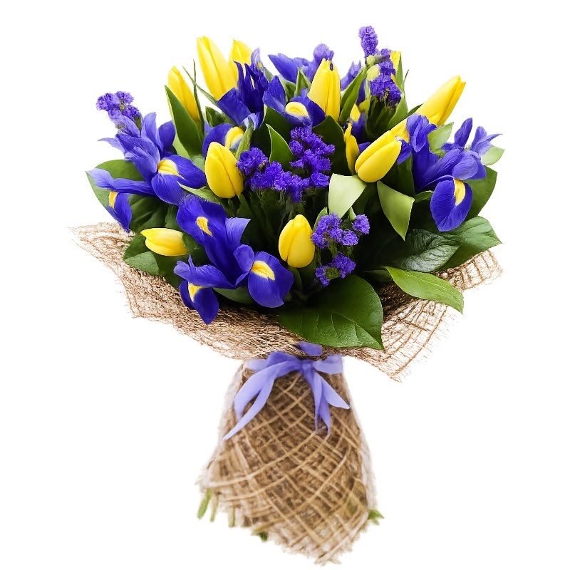 iris blue and yellow tulips (Standard)