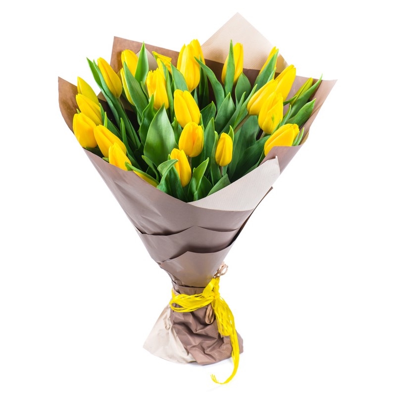 yellow tulips (Standard)
