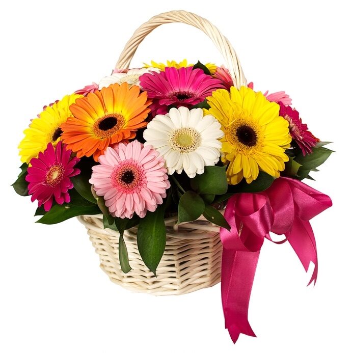 basket of gerberas (Standard)