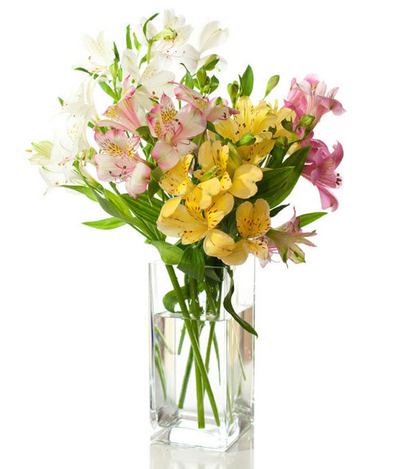 freesias and alstromeria (Standard)