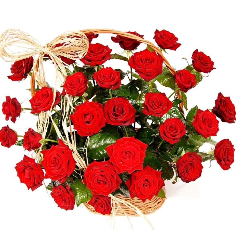 basket 36 red roses (Standard)