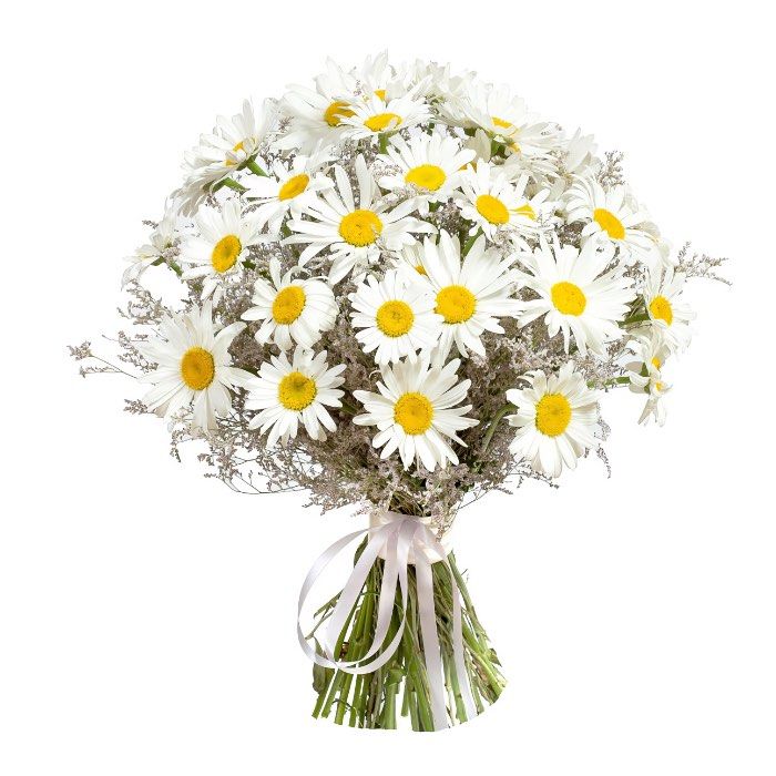 bouquet of daisies (Medium)