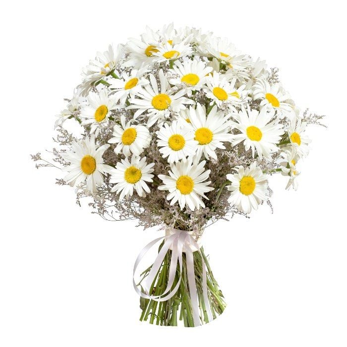 bouquet of daisies (Standard)