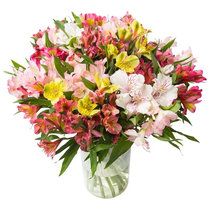 mixed alstromeria (Medium)