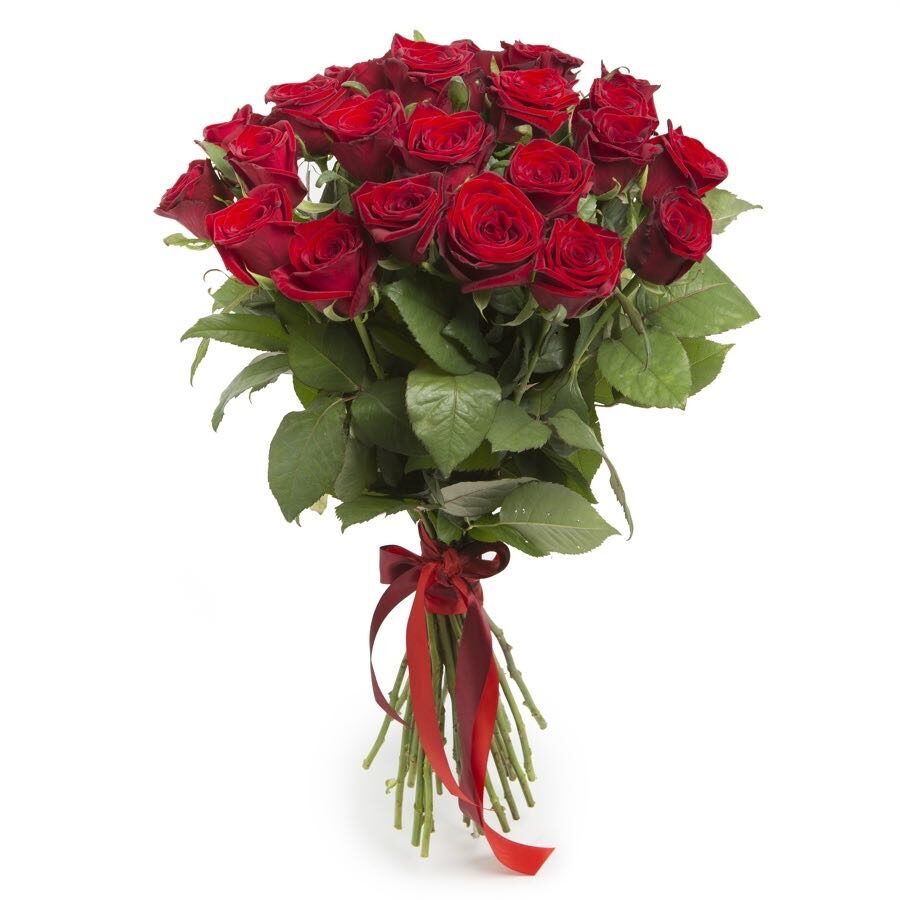 24 red roses (Medium)