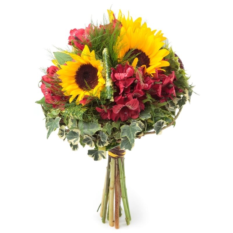 alstromeria and sunflowers (Standard)