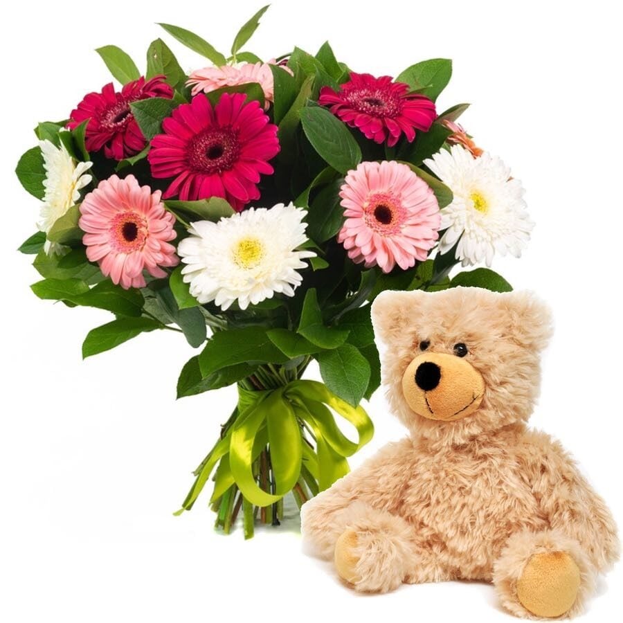 teddy bear and gerberas (Standard)