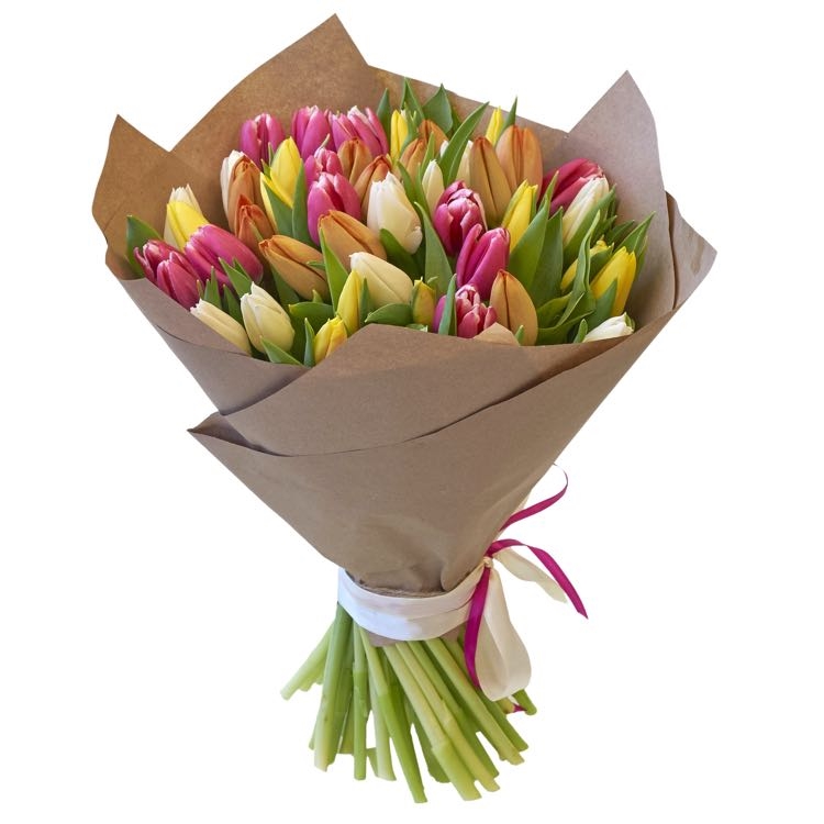 amazing mixed tulips (Medium)
