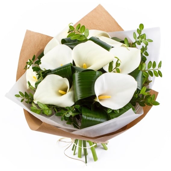 White Callas (Standard)