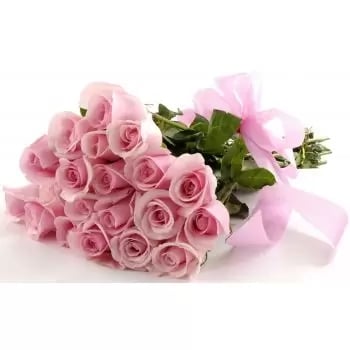 20 Soft Pink Roses (Standard)