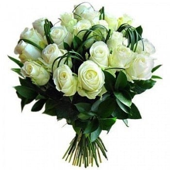 24 White Roses (Standard)
