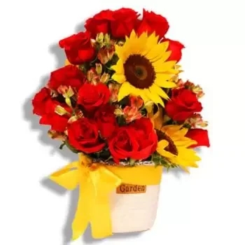 Red roses and a sunflower