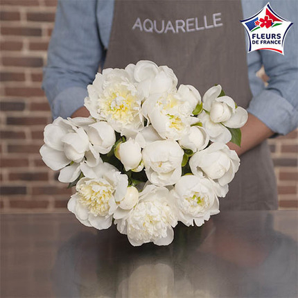 Exceptional White Peonies (15 stems)
