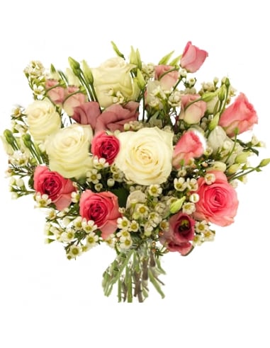 White and pink roses (Small)
